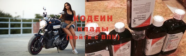 ГАЛЛЮЦИНОГЕННЫЕ ГРИБЫ Аркадак