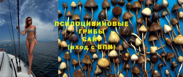 прущие грибы Алексин