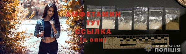 прущие грибы Алексин