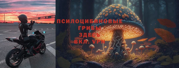 прущие грибы Алексин