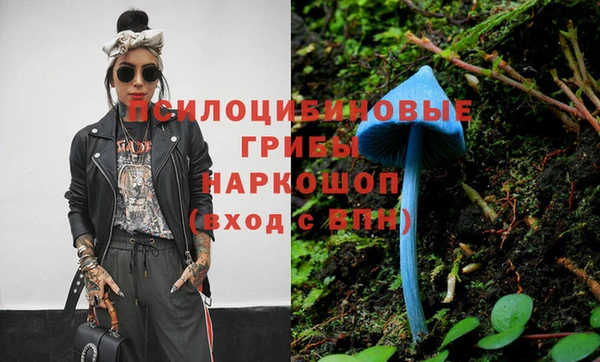 прущие грибы Алексин